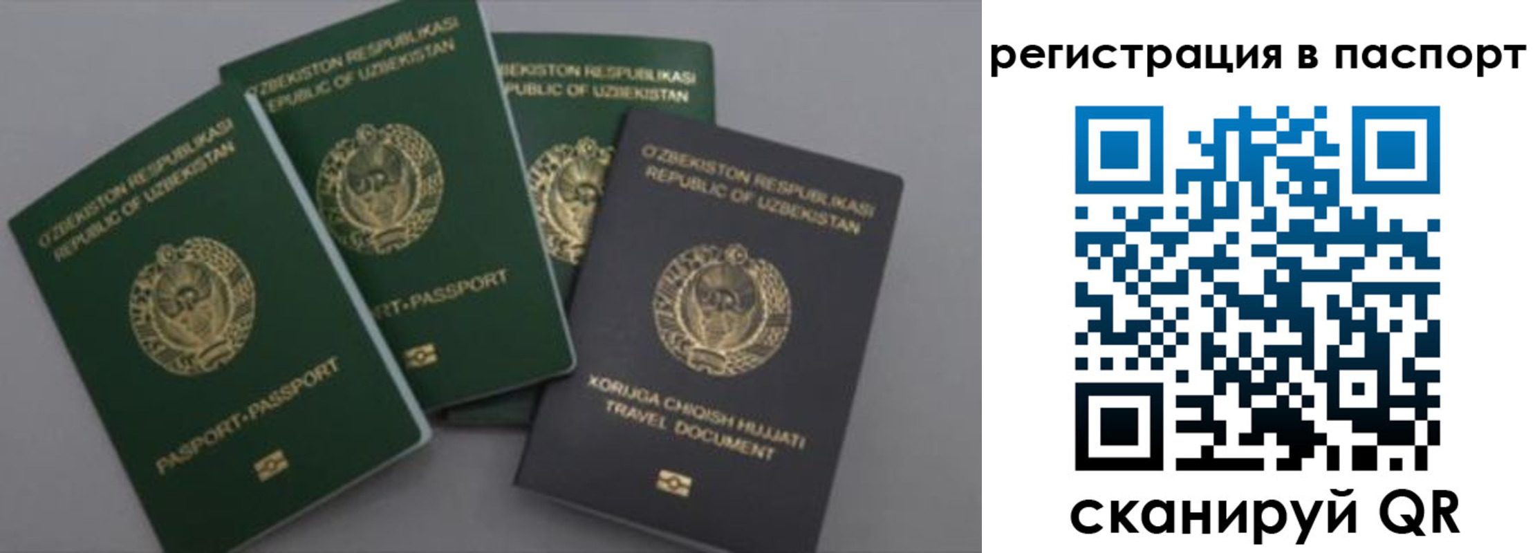 прописка от собственника в Наволоках